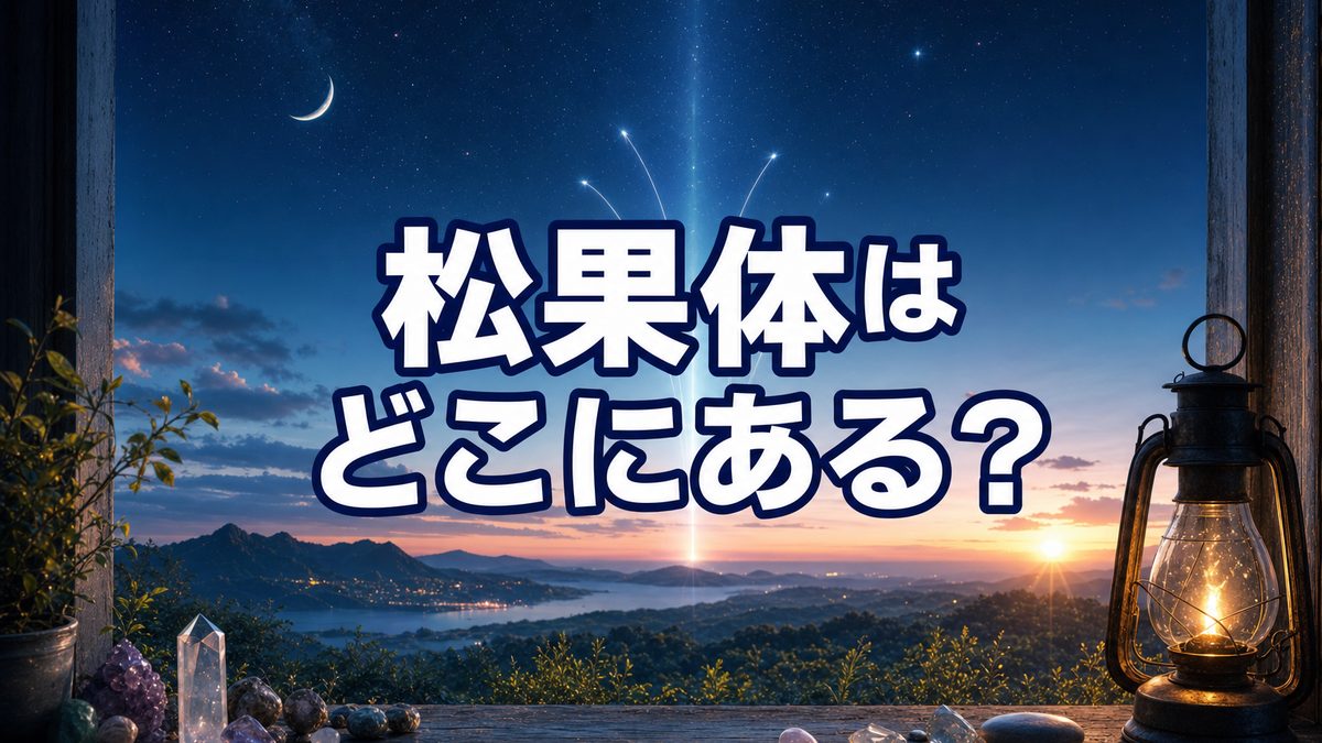 松果体はどこにある?何のためにあるの?|眉間の奥の「心のアンテナ」をやさしく解説